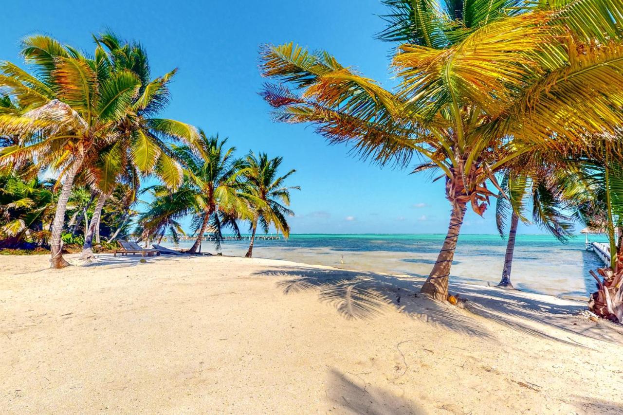 Blue Water Beach Villas سان بيدرو المظهر الخارجي الصورة